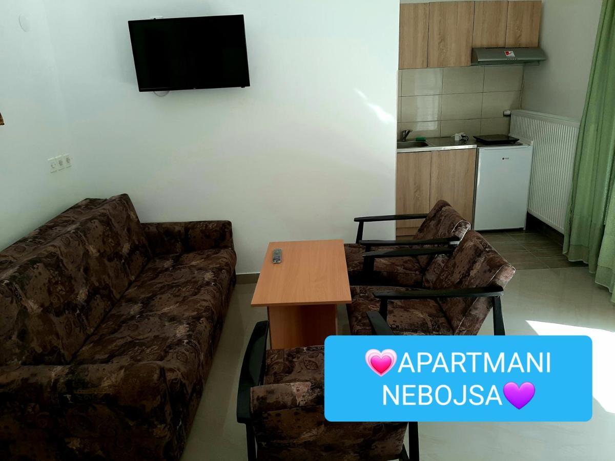 Apartments Nebojsa Sokobanja Exterior foto
