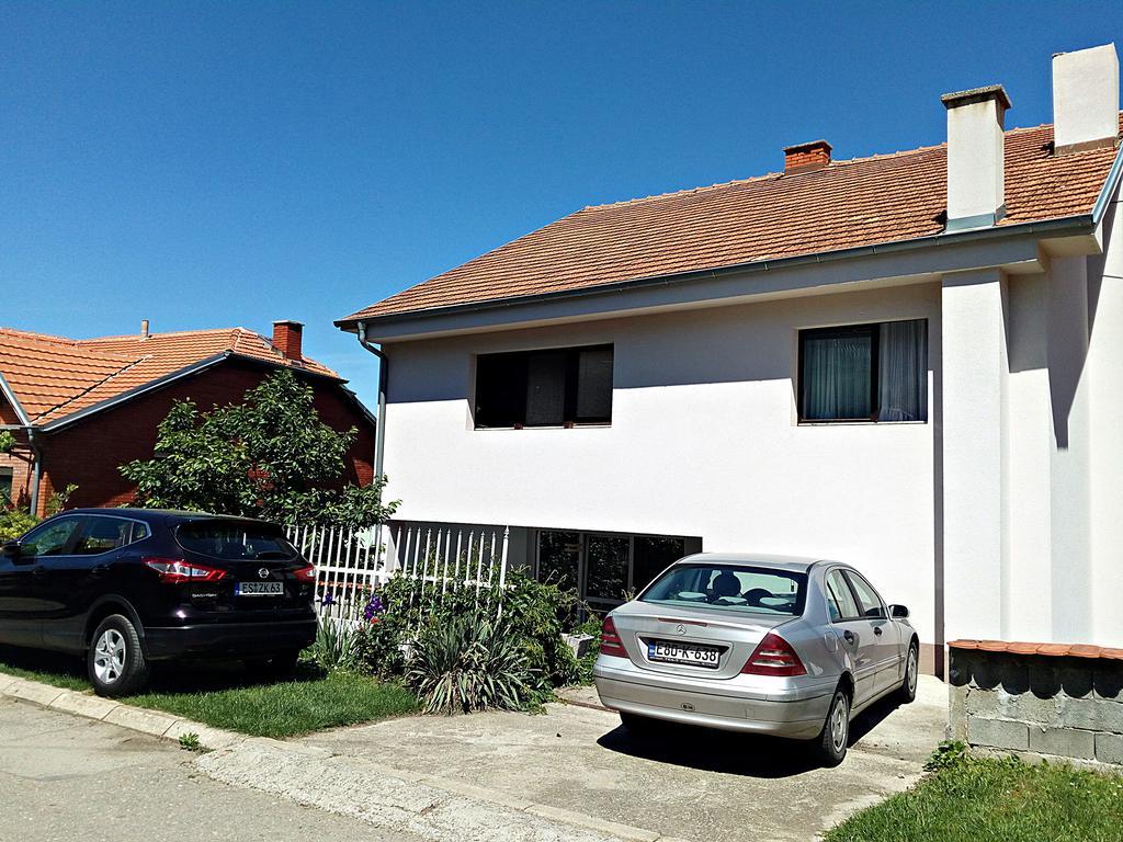 Apartments Nebojsa Sokobanja Exterior foto