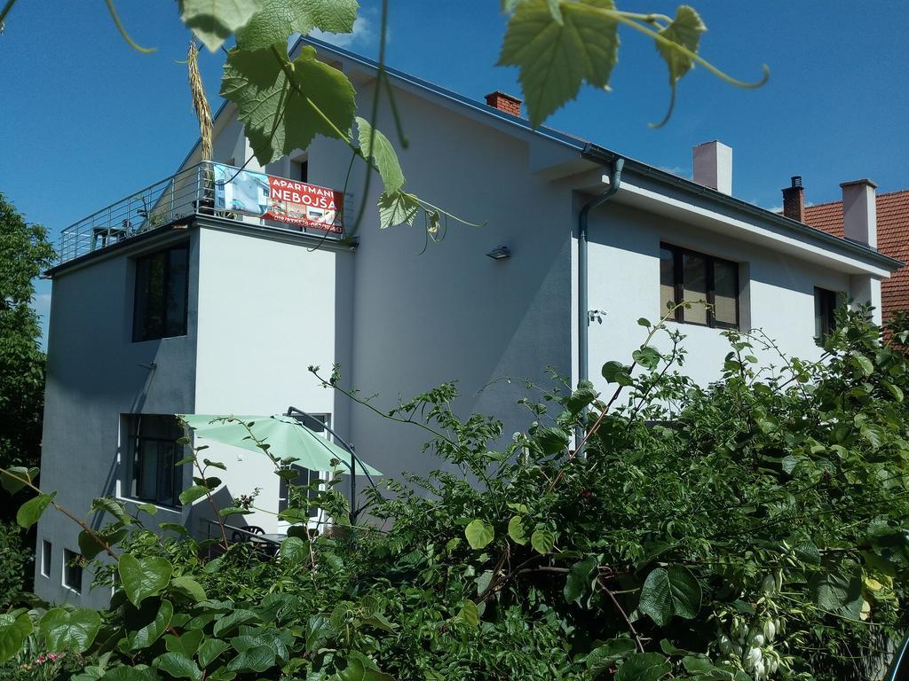 Apartments Nebojsa Sokobanja Exterior foto